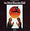 Next Karate Kid, The