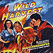 Wild Harvest / No Man of Her Own / Thunder in the East